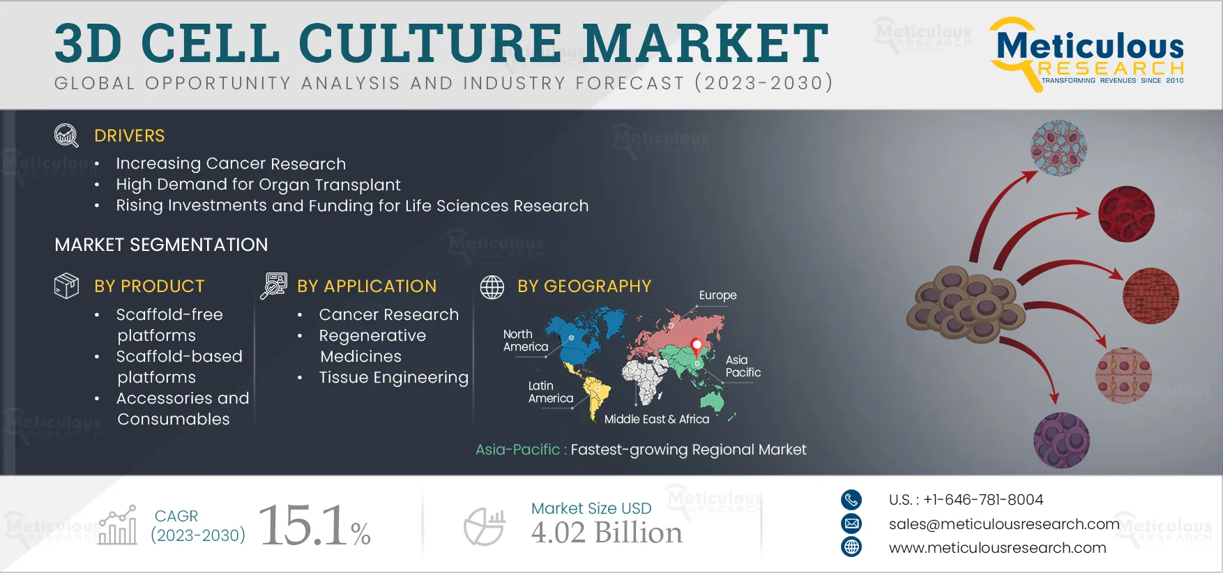 3D Cell Culture Market