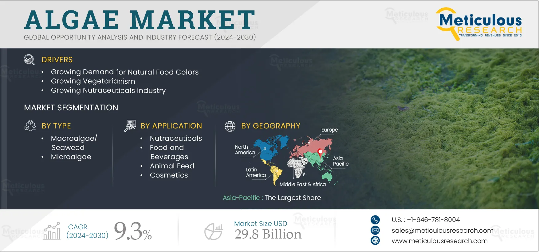 Algae Market