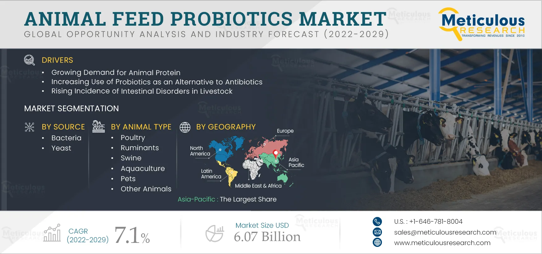 Animal Feed Probiotics Market Animal Feed Probiotics Market
