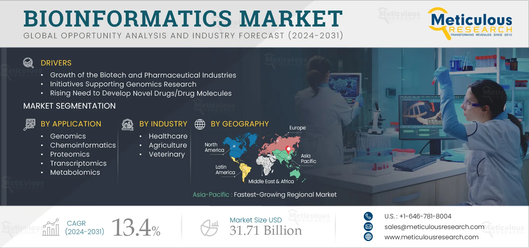 Bioinformatics Market