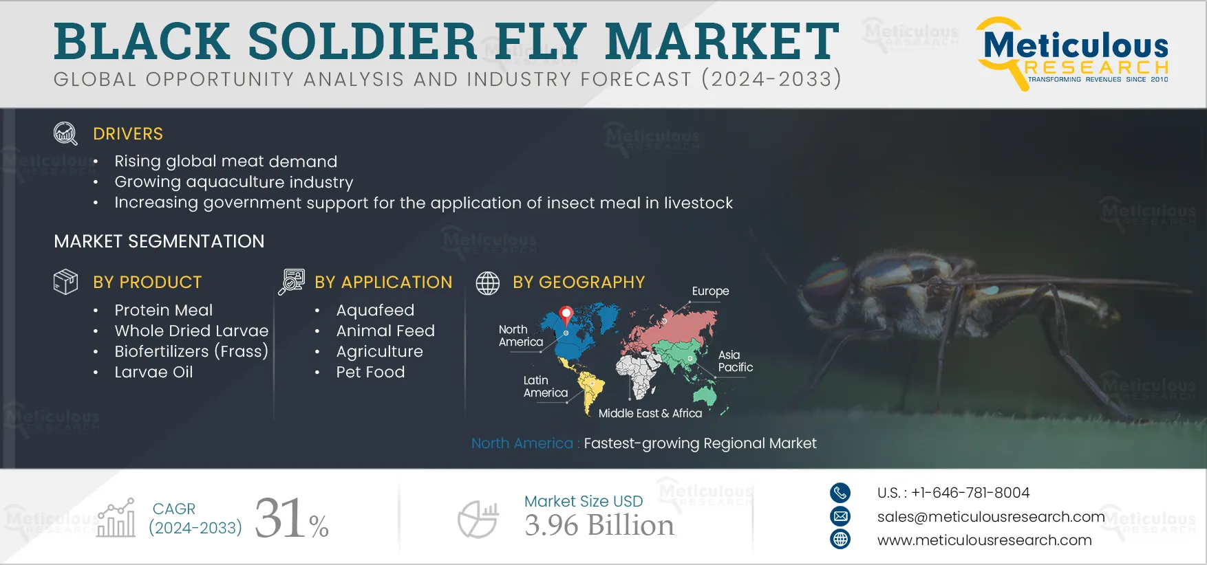 Black Soldier Fly Market