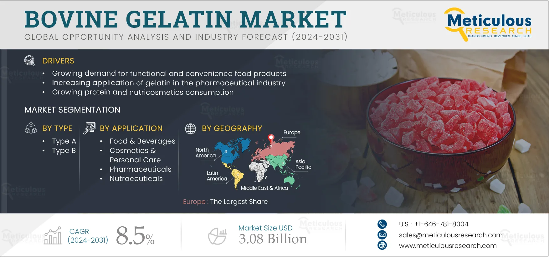 Bovine Gelatin Market 