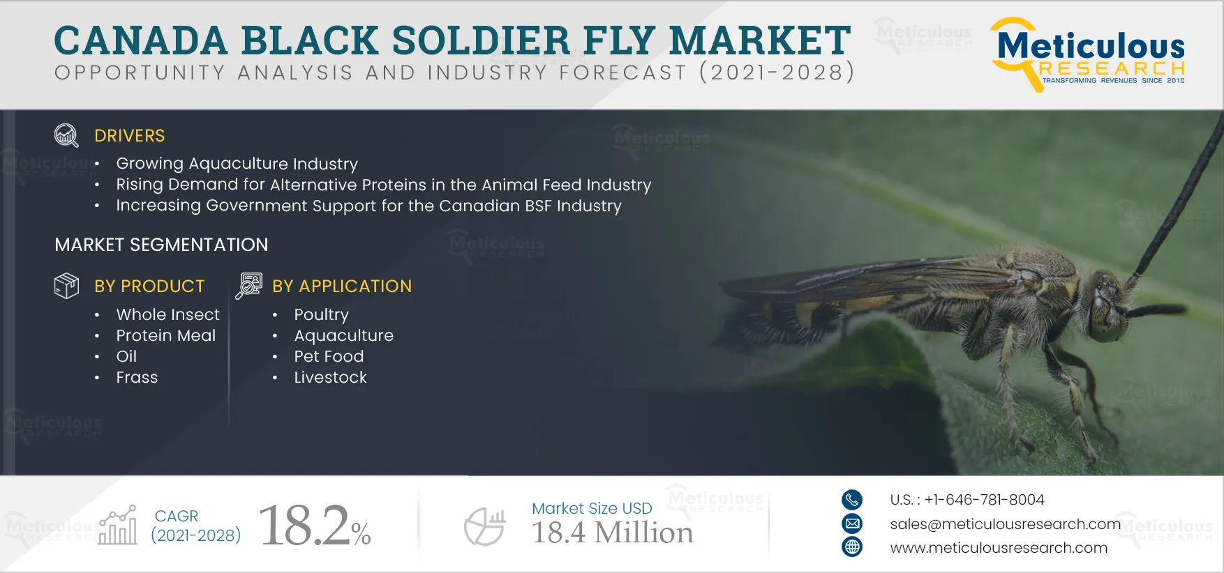 Canada Black Soldier Fly Market