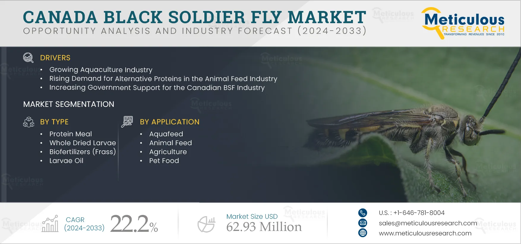 Canada Black Soldier Fly Market