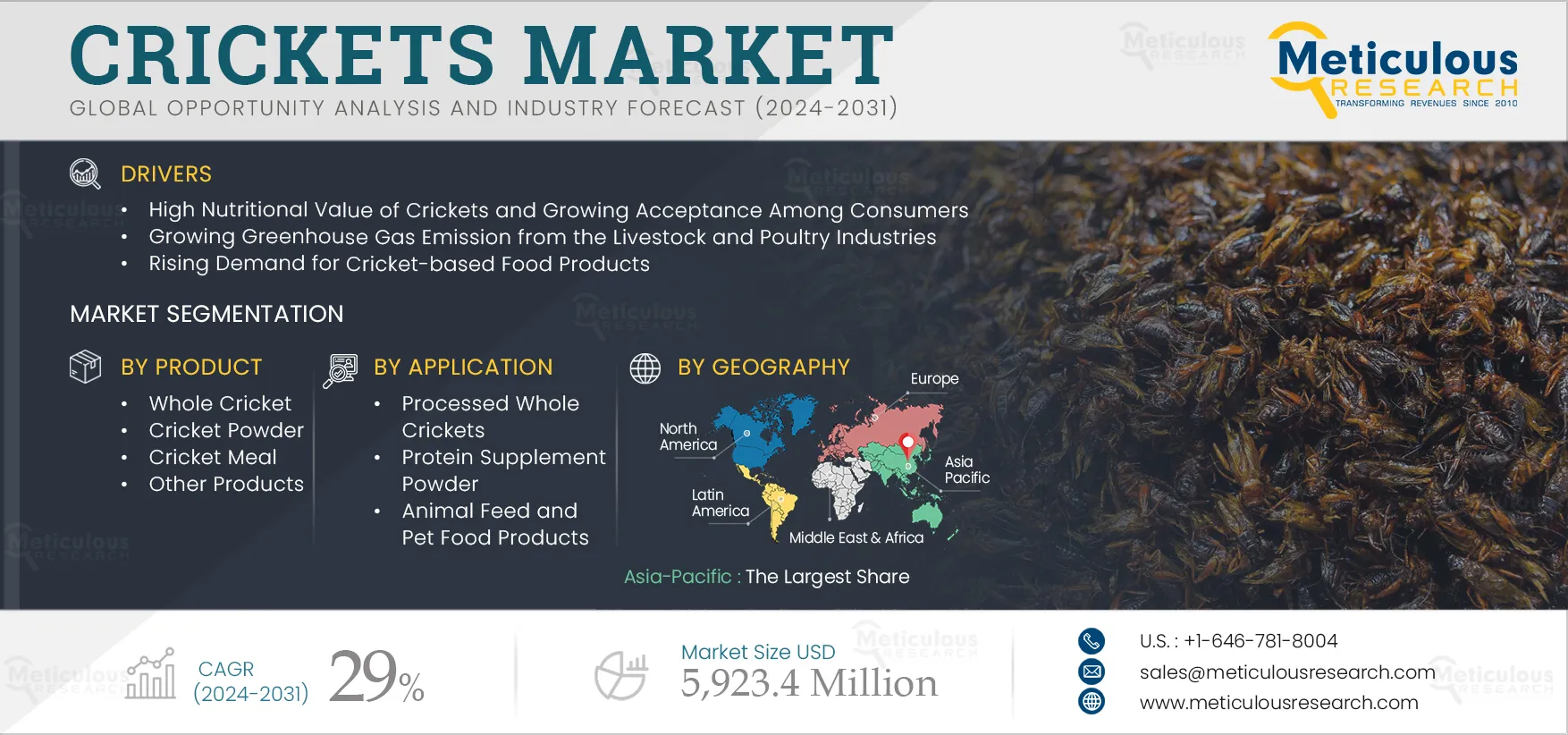 Crickets Market