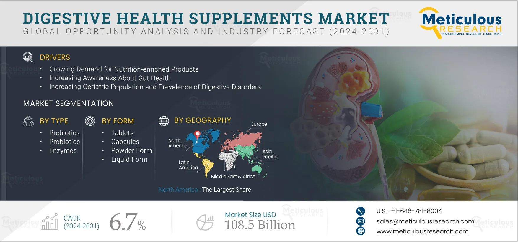 Digestive Health Supplements Market
