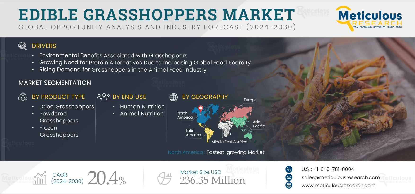 Edible Grasshoppers Market