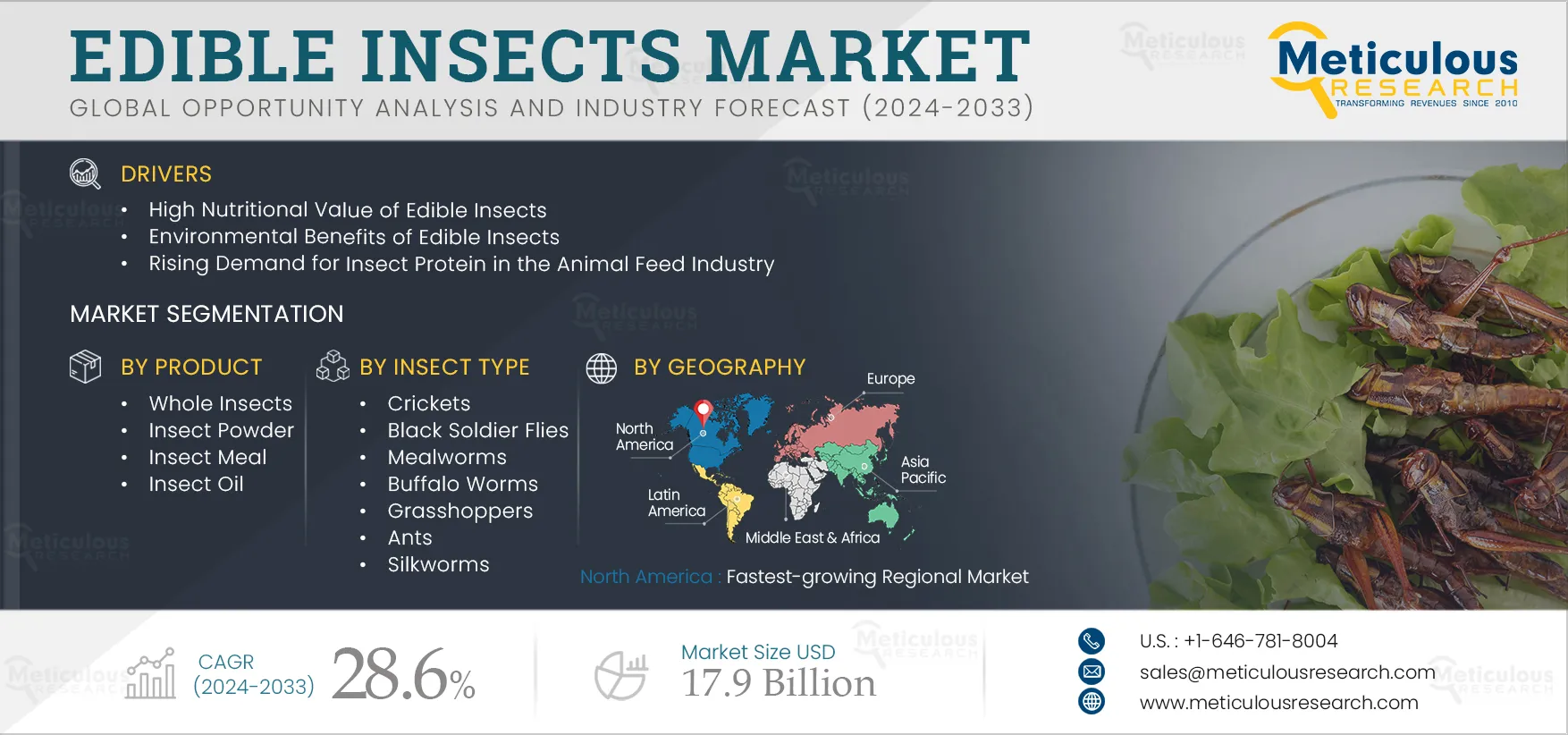 Edible Insects Market