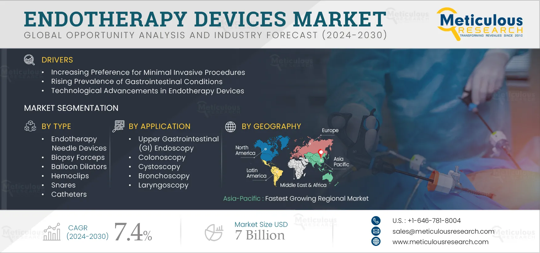 Endotherapy Devices Market