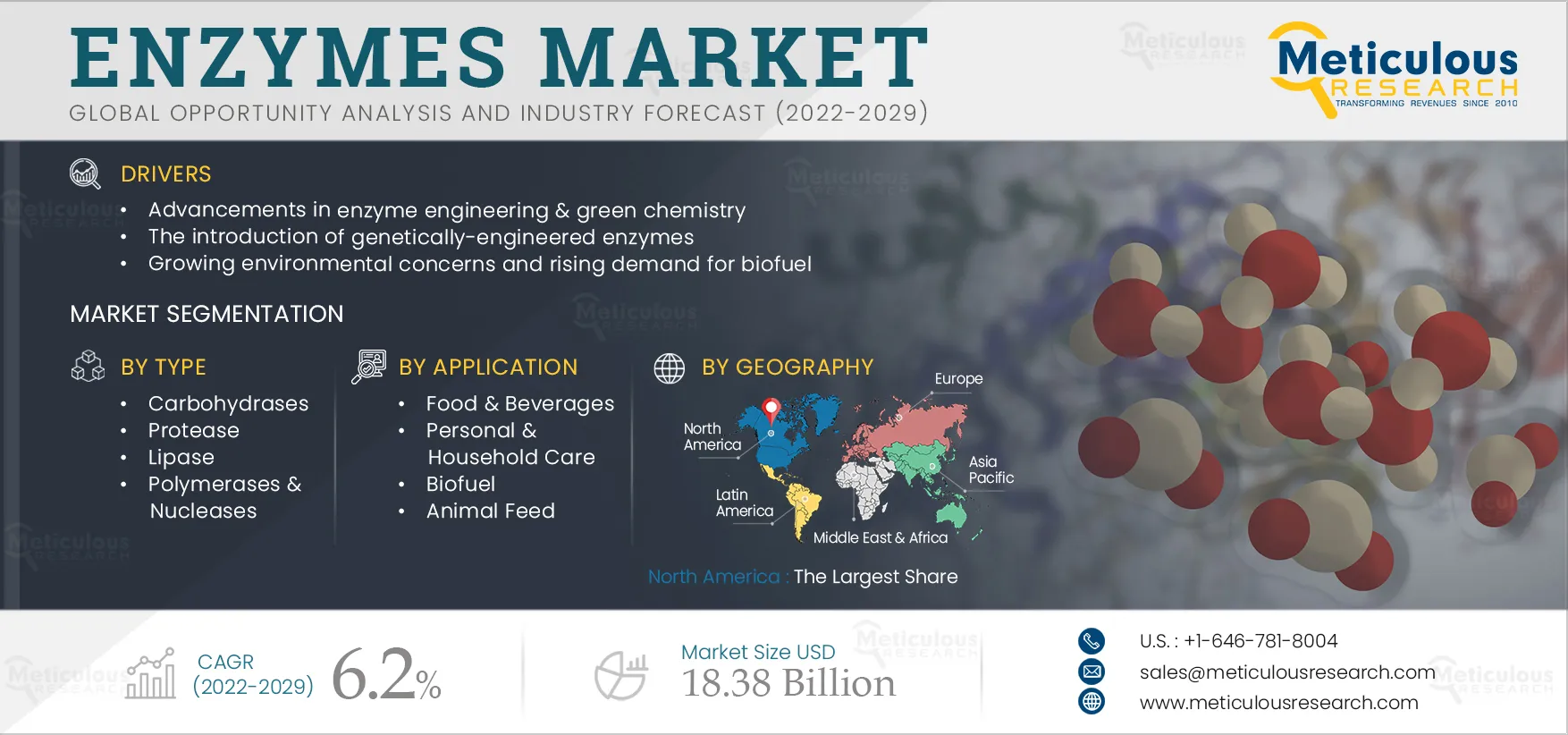  Enzymes Market