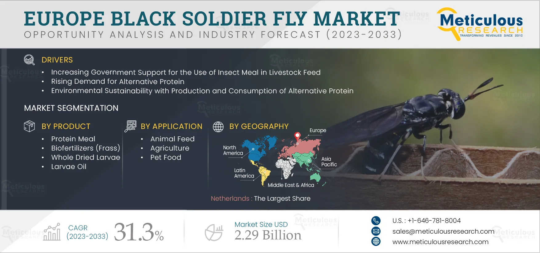 Europe Black Soldier Fly Market