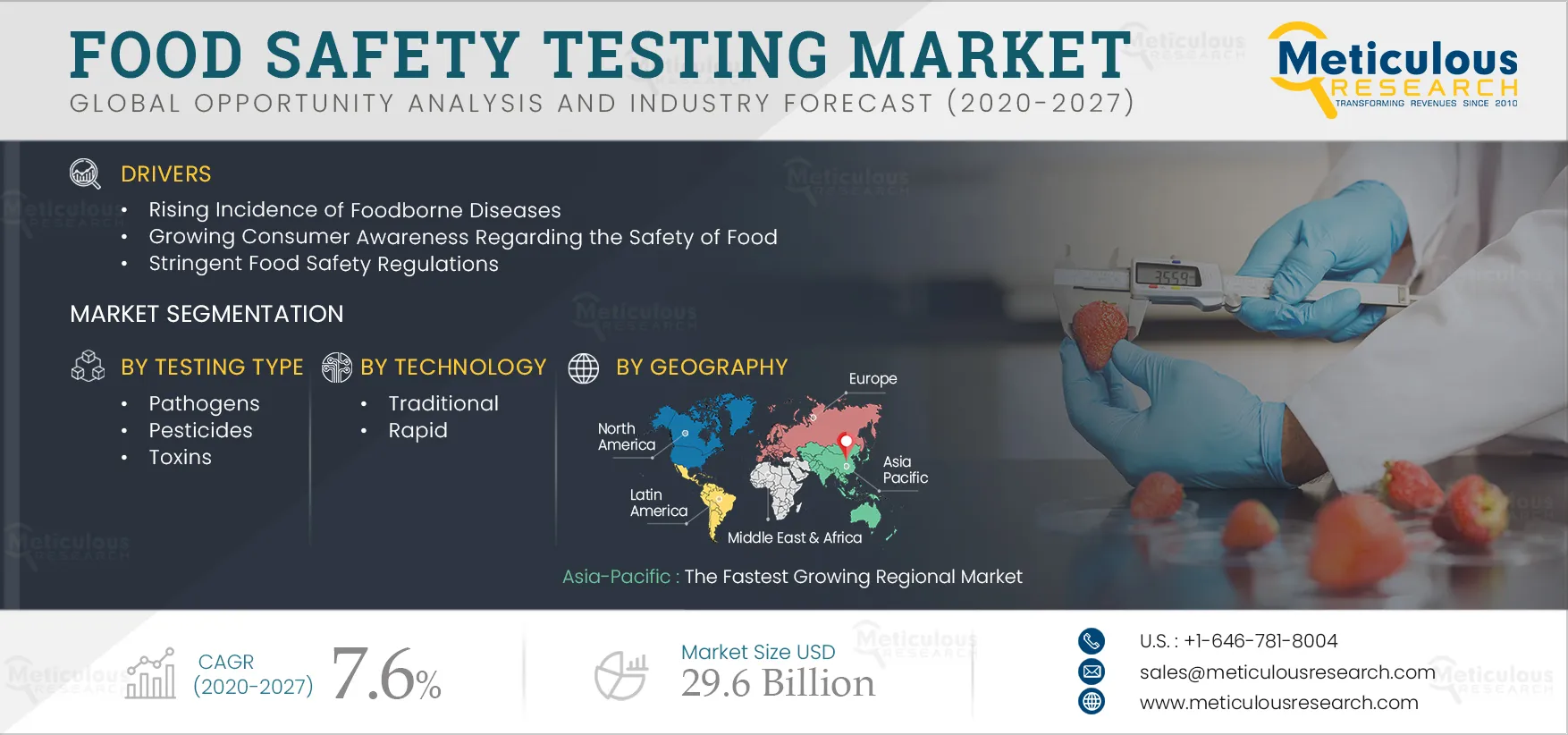 Food Safety Testing Market