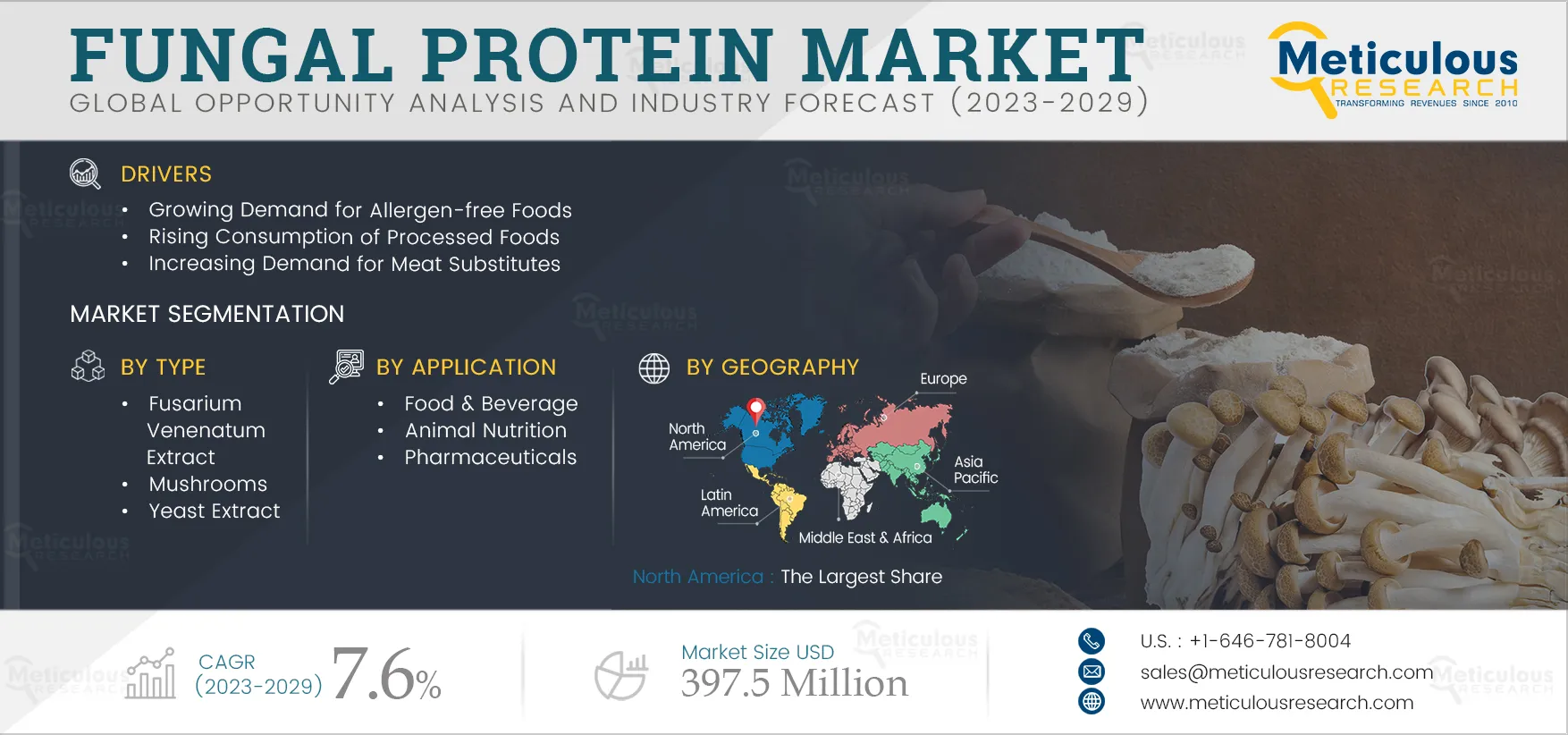 Fungal Protein Market