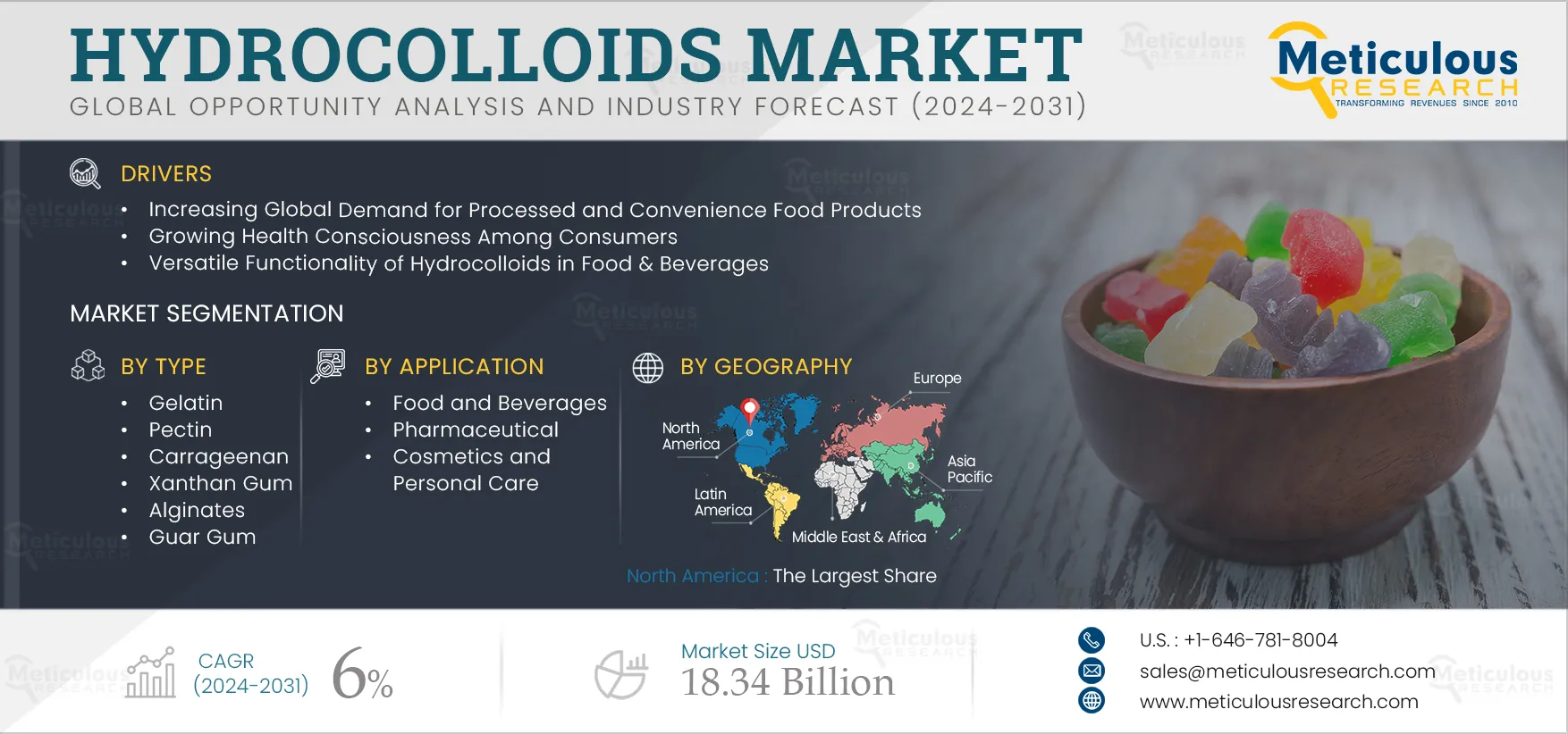 Hydrocolloids Market 