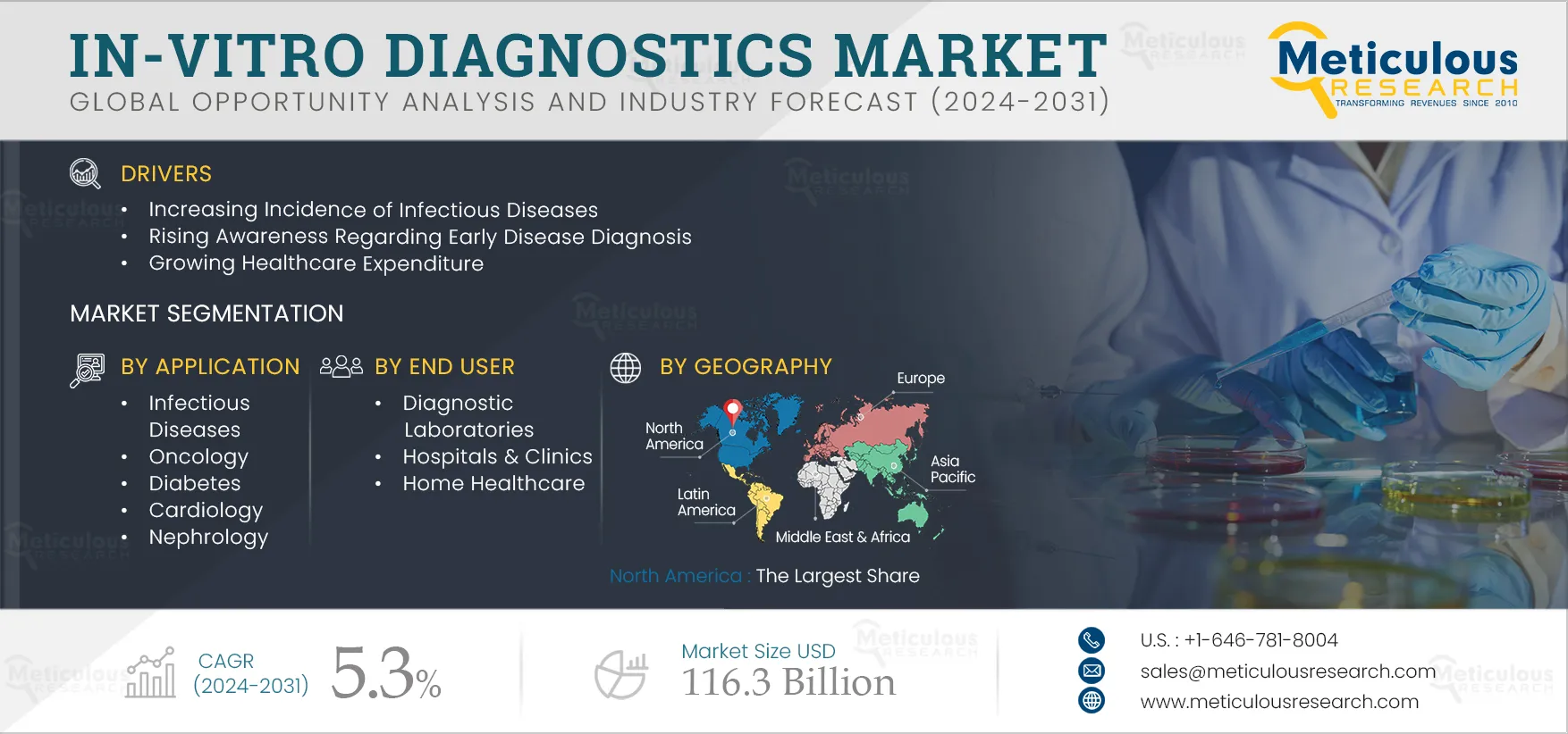 In Vitro Diagnostics Market