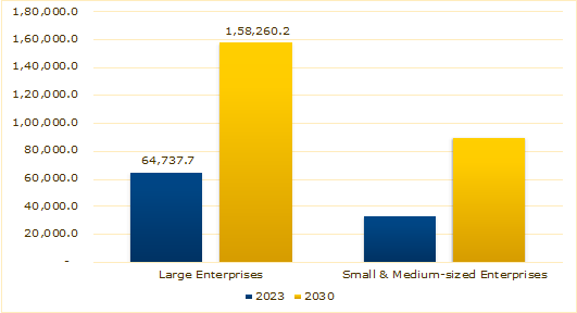 Large Enterprises Segment 