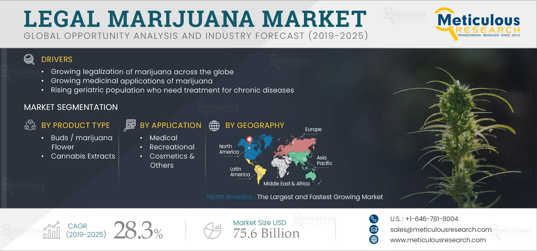 Legal Marijuana Market