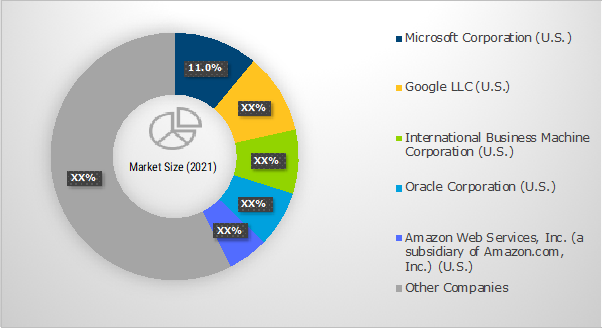 Market Share Analysis 