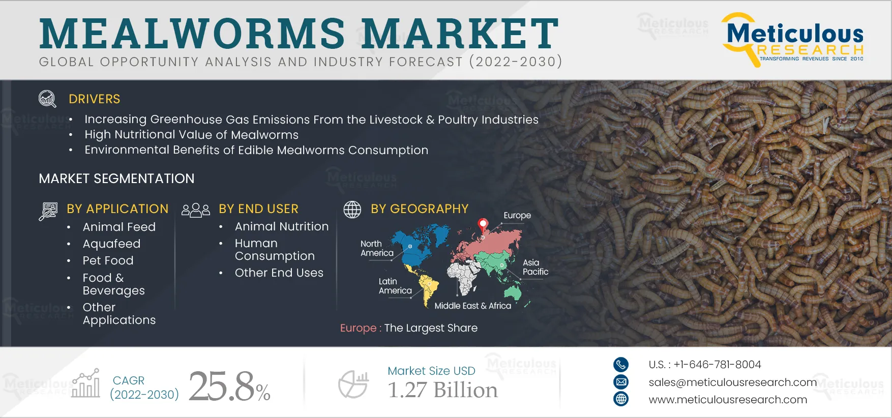 Mealworms Market