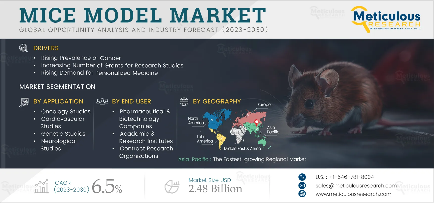 Mice Model Market