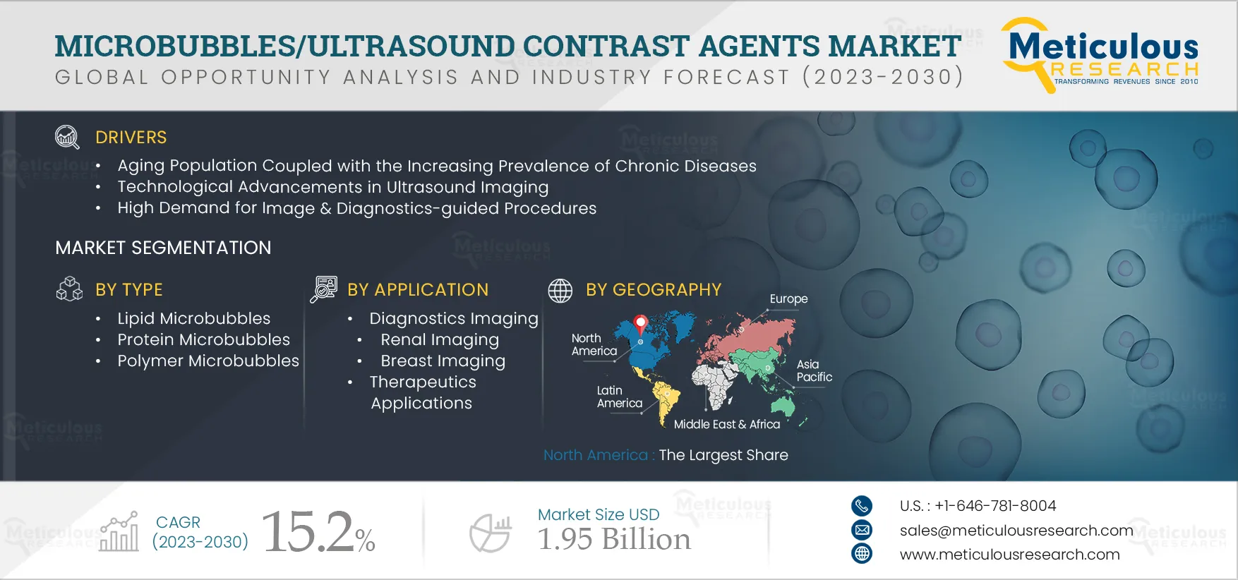 Microbubbles/Ultrasound Contrast Agents Market Microbubbles/Ultrasound Contrast Agents Market