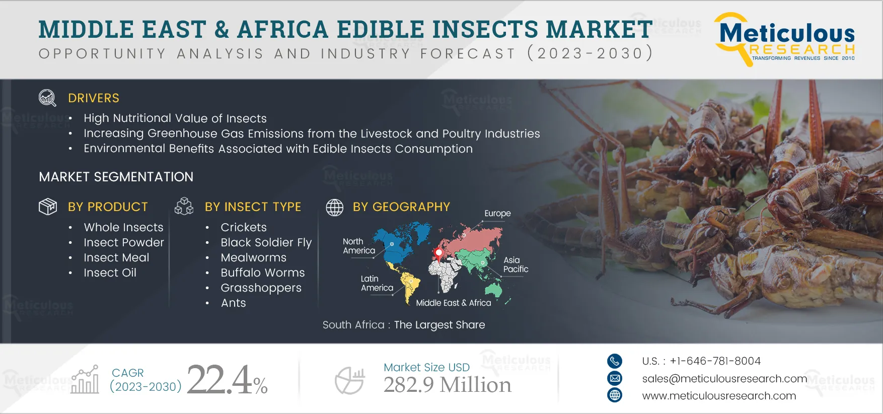 Middle East & Africa Edible Insects Market