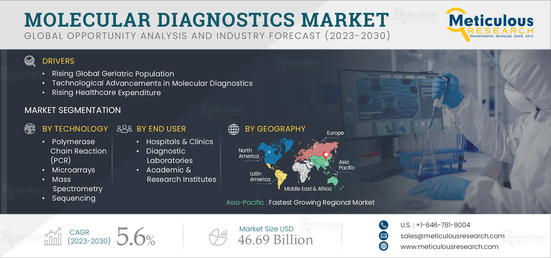 Molecular Diagnostics Market