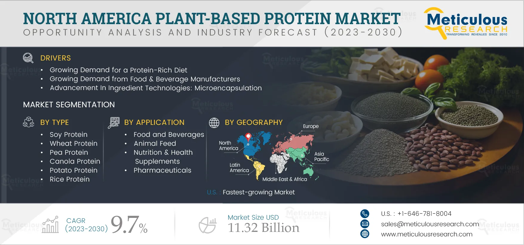 North America Plant-based Protein Market