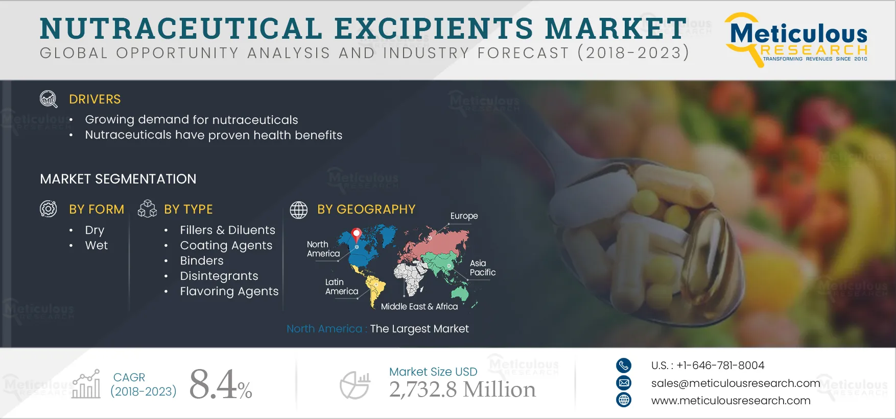 Nutraceutical Excipients Market