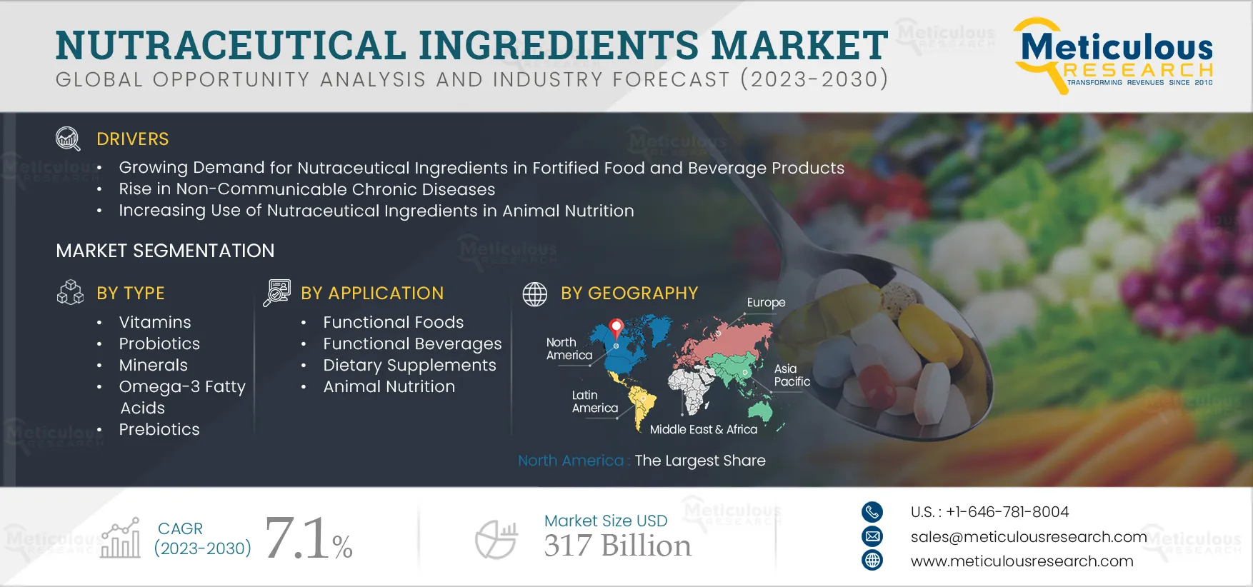 Nutraceutical Ingredients Market