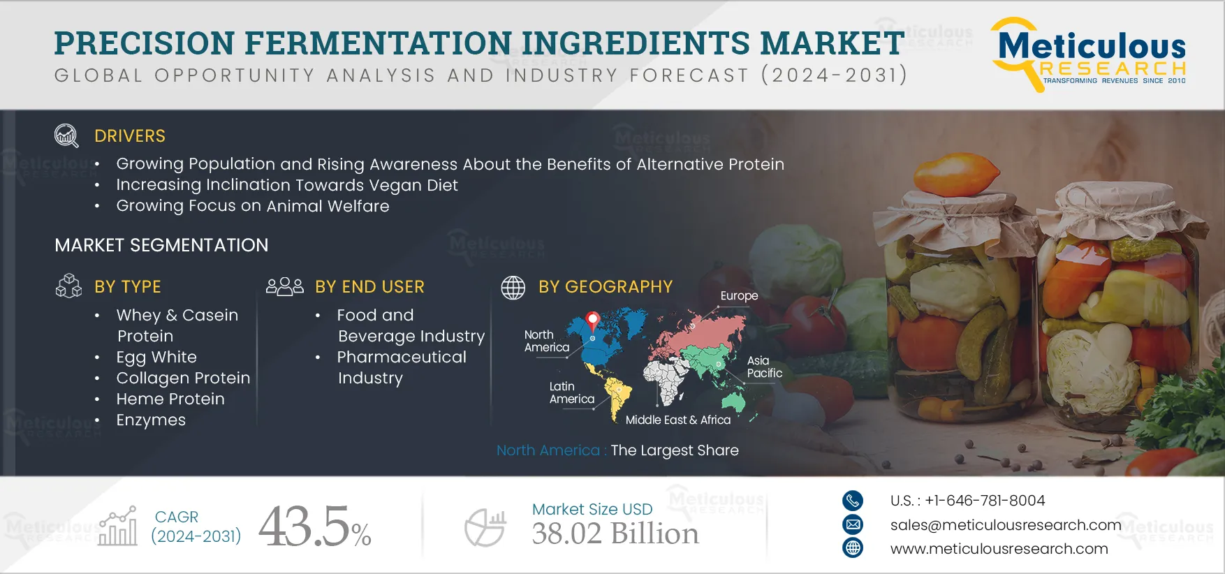 Precision Fermentation Ingredients Market 
