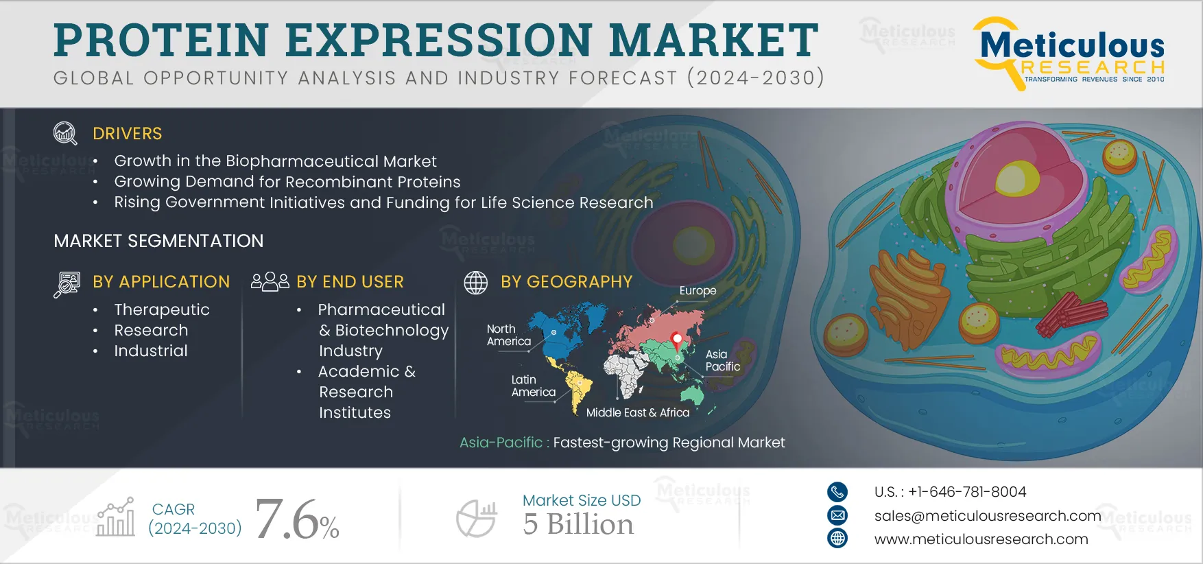 Protein Expression Market