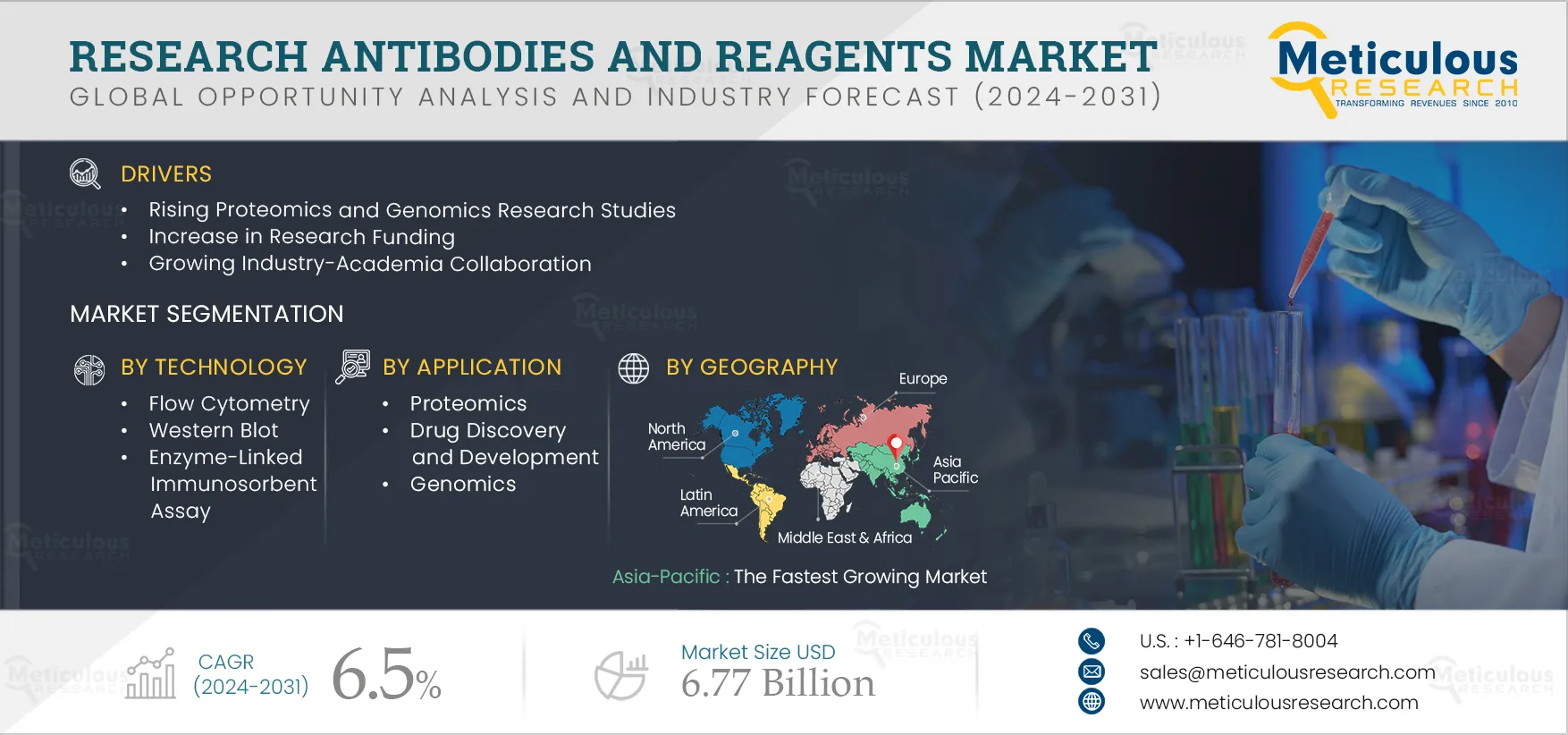 Research Antibodies and Reagents Market