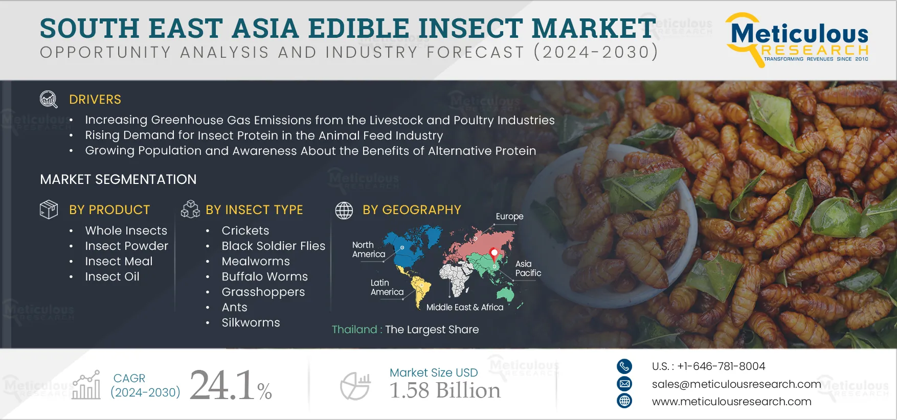 South East Asia Edible Insects Marke