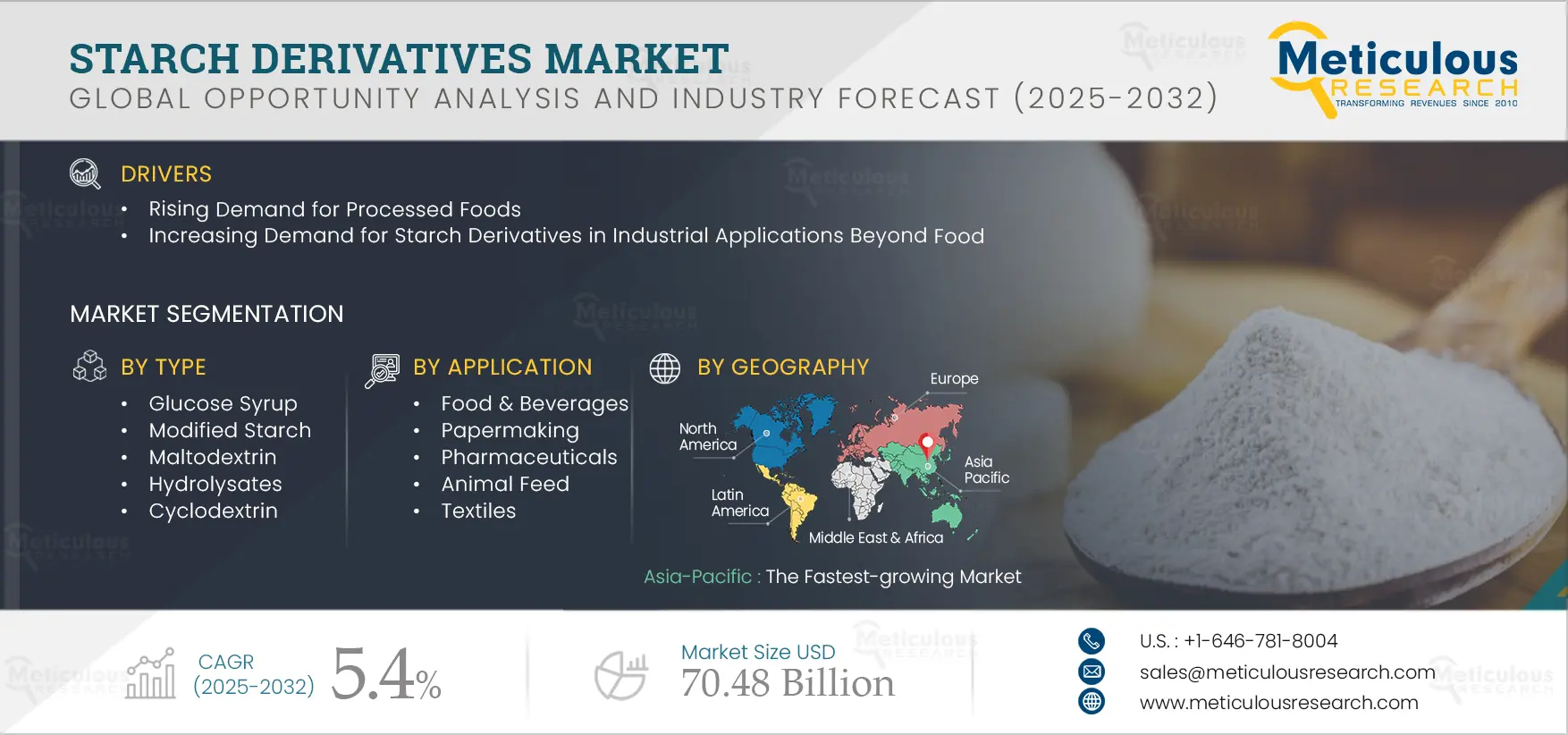 Starch Derivatives Market