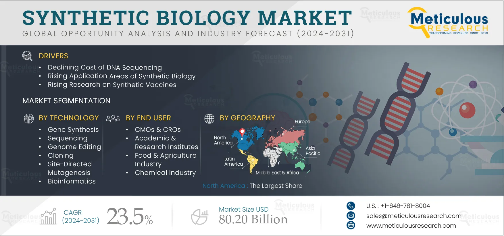 Synthetic Biology Market